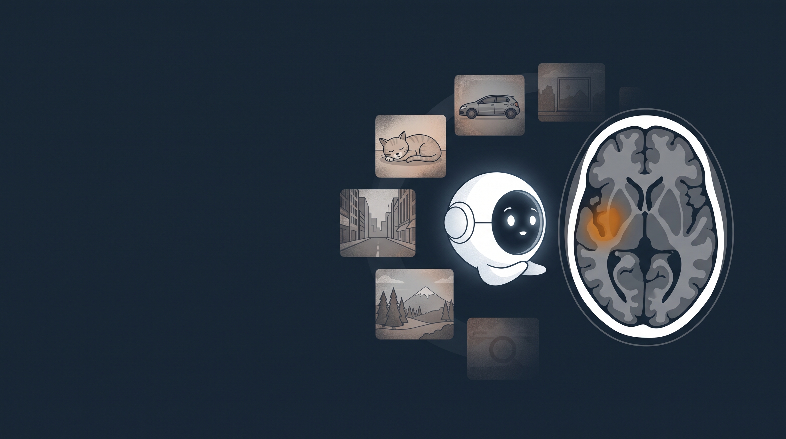 Illustration: an AI trained on everyday photos meets a brain scan